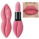 Rouge à lèvres waterproof effet mat Rouge à lèvres longue tenue Rouge à lèvres hydratant 5