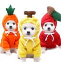 Roupa para cães fruta/legumes 5