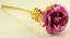 Róża dekoracyjna J2866 12