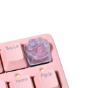 Roztomilá klávesa s motivem tlapky RGB křížová osa průsvitné provedení pro mechanickou klávesnici dekorativní doplněk MX 4