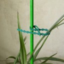 Rubans pour plantes 100 pcs 2