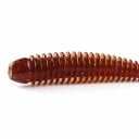 Rubber Fish Ring Shad 8 cm 2.6 g Pack of 10 Soft Baits with Salt and Micro Grooves for Predator Fishing 6