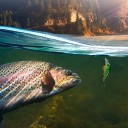 Rybársky adventný kalendár 31 x 23,5 x 3,2 cm Kovové trblietky, rotačky a wobblery Vianočný kalendár s rybárskymi nástrahami 3