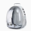 Sac à dos transparent et respirant pour chats Sac à dos de voyage pour le transport de chats Transporteur en plastique pour chats 40 x 16 x 34 cm 6