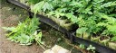 Sac de jardin pour semis 4