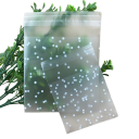 Sacchetti regalo 10 x 15 cm 100 pz P4016 3