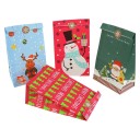 Sacchetti regalo di Natale 10 pz C605 3