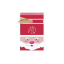 Sacchetto regalo di Natale 23 x 15 cm 10 pz T1161 11