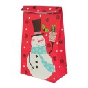Sachet cadeau de Noël 10 pcs C605 7