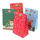 Sachet cadeau de Noël 10 pcs C605 4