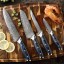 Sada nožů z damascénské oceli 4 ks 4