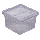 Sada průhledných plastových krabiček na hmyz 10 ks 6,5 x 6,5 x 4,4 cm plast pro chov pozorování a přenos hmyzu 3