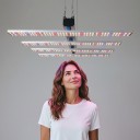 Sæt med 12 stk LED vækstlamper 105 cm 240 W Forbindelseskabler og metalbeslag Røde og blå dioder Til hydroponi og plantevækst 3