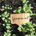 Sæt med 20 bambus plantemærker 10 cm T-formede miljøvenlige vandtætte navnemærker til blomster og frøplanter 4