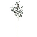 Sæt med 5 kunstige oliventræsgrene med blade og frugter Dekorativt grønt til vase Realistisk naturlig dekoration til lejligheden og til et bryllup 2