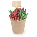 Sæt med 60 bambus plantemærker 10 cm T-formede miljøvenlige vandtætte navnemærker til blomster og frøplanter 9