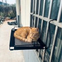Sammenklappelig katte seng til radiator og vindue 45 x 30 cm Metalramme med kroge Åndbart net Sammenklappelig Sort Seng til gelænder 7