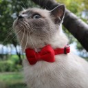 Samt-Halsband für Katzen und kleine Hunde 1 x 28 cm Sicherheitsverschluss Schleife Glöckchen Verstellbares Dekoratives Halsband 3