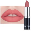 Samtmatter Lippenstift. Langanhaltendes und wasserfestes Lippen-Make-up 1