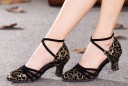Sapatos de dança femininos - Lodiças leopardas 1