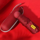 Sateenvarjo T1372 6