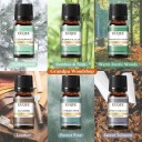 Sats med doftoljor Grandpa Woodshop 6×10 ml eteriska oljor för diffuser presentförpackning 165×72 mm aromaterapi hemmet 2