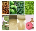 Savon de shampoing pour cheveux contre les pellicules 5