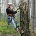 Scaletta per alberi 1 paio Doppie punte in acciaio Altezza 36 cm Portata 100 kg Cintura di sicurezza e corda Guanti Per arboristi e raccolta frutta 3