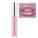 Schimmernder, langanhaltender Lipgloss, feuchtigkeitsspendender Lipgloss, pflegender und pflegender Glanz V221 4