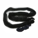 Schutznetz gegen Vögel 1