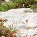 Sculpture en fer oiseau 4