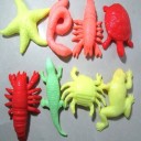 Sea Creatures Growing in Water 3