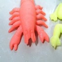 Sea Creatures Growing in Water 6