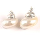 Seashell Pendant 5 Pcs 2