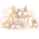 Seashell Pendant 5 Pcs 3