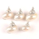 Seashell Pendant 5 Pcs 4