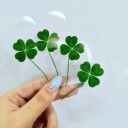 Segnalibri Quattro Foglie 5 pz Segnalibri trasparenti con motivo di fortuna Talismano delicato per la lettura o regalo 2