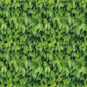 Self-adhesive Wallpaper G2198 10