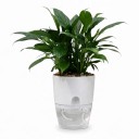 Selvvandende blomsterkrukke 13,8 cm Delt med gennemsigtig vandbeholder og sugende snor Til stueplanter og krydderurter 4