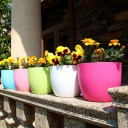 Selvvandende blomsterpotte 3