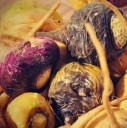 Semena Lepidium Meyenii Maca Řeřicha Peruánská 100 ks Žlutavé Hlízovité Kořeny Užitková Rostlina Pro Zahradu I Květináč Pěstování Ze Semen 3