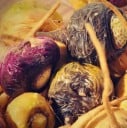 Semená Lepidium Meyenii Maca Žerucha Peruánska 200 ks Žlté Hlízy Užitková Rastlina Pre Záhradu I Kvetináč Pestovanie Zo Semien 3