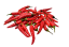 Semená pálivé papričky Thai Dragon 30 ks Semienka chilli papričky Jednoduché pestovanie 1