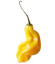 Semená pálivých papričiek Habanero Madame Jeanette yellow 20 ks Semienka žltej chilli papričky 1