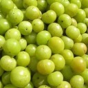 Semi di amla Phyllanthus emblica 50 pz Albero da frutto con frutti verdi rotondi commestibili dal sapore aspro Per serra e giardino d'inverno 2