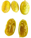 Semínka Cucumis anguria 10 ks malá zelená drobná okurka angurie s ostnatou slupkou pro domácí pěstování a nakládání do octa 3