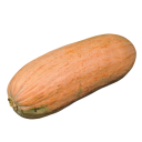 Semínka Cucurbita maxima Banana Squash Pink 4 ks růžová banánovitá tykev s podlouhlými plody pro pěstování v zahradě a sklady 1