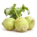 Semínka kedlubnu Brassica oleracea var. gongylodes 50 ks oblíbená brukvovitá zelenina se zelenou kulovitou bulvou pro výsev na záhonu 1