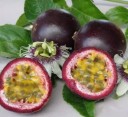 Semínka maracuji Passiflora edulis gulupa 30 ks Popínavá liána s jedlými aromatickými plody a bílými květy Do skleníku i na opěru 3