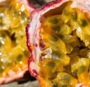 Semínka maracuji Passiflora edulis gulupa 5 ks Popínavá liána s jedlými aromatickými plody a bílými květy Do skleníku i na opěru 4